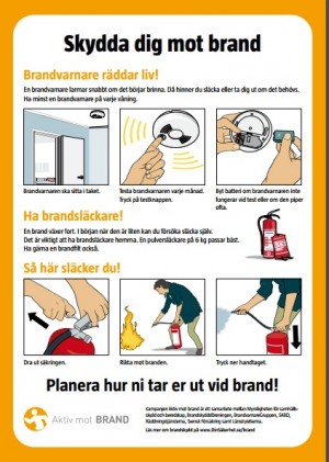 brandinfo